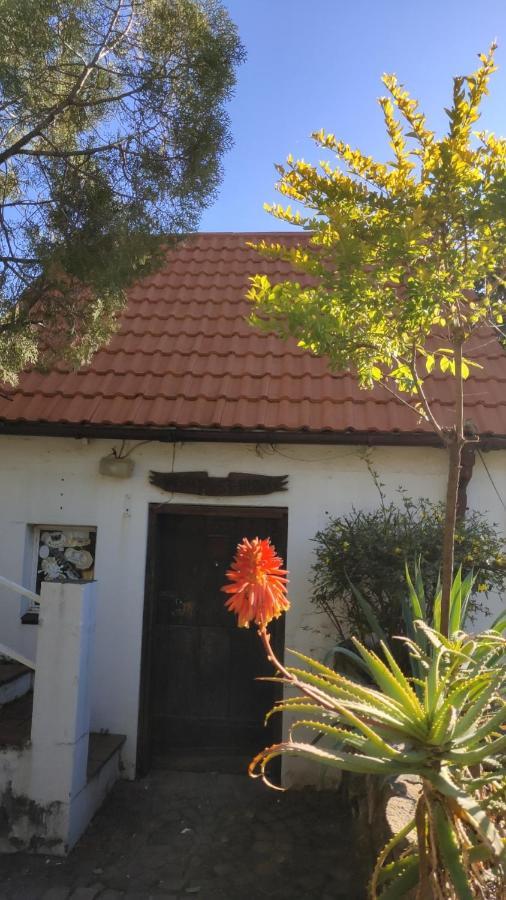 Atlantic Pearl Guest House Midrand Bagian luar foto